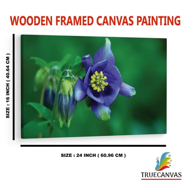 Multicolor_16_X_24_Inch,_Pine_Wood_Framed_Canvas_Paintings_|_For_Home_Decor,_Ready_To_Wall_Hanging,_Premium_Painting_|_For_|_Bedroom,_Living_Room,_Office_Wall_Decoration_|_Wall_Art_Painting,_Ct1927