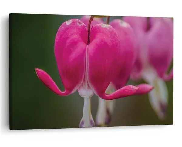 Multicolor_16_X_24_Inch,_Pine_Wood_Framed_Canvas_Paintings_|_For_Home_Decor,_Ready_To_Wall_Hanging,_Premium_Painting_|_For_|_Bedroom,_Living_Room,_Office_Wall_Decoration_|_Wall_Art_Painting,_Ct1928