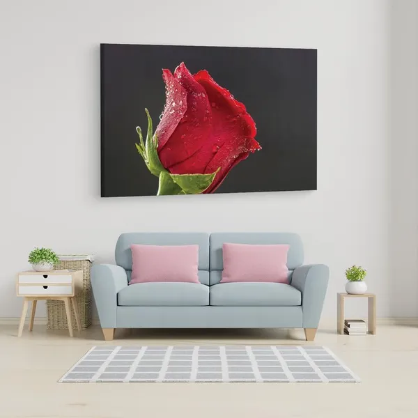 Multicolor_16_X_24_Inch,_Pine_Wood_Framed_Canvas_Paintings_|_For_Home_Decor,_Ready_To_Wall_Hanging,_Premium_Painting_|_For_|_Bedroom,_Living_Room,_Office_Wall_Decoration_|_Wall_Art_Painting,_Ct1930
