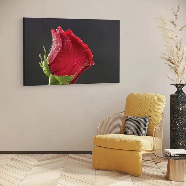 Multicolor_16_X_24_Inch,_Pine_Wood_Framed_Canvas_Paintings_|_For_Home_Decor,_Ready_To_Wall_Hanging,_Premium_Painting_|_For_|_Bedroom,_Living_Room,_Office_Wall_Decoration_|_Wall_Art_Painting,_Ct1930