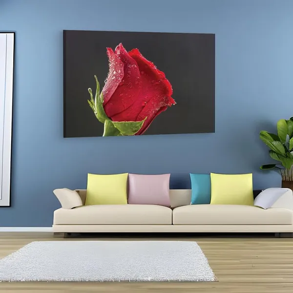 Multicolor_16_X_24_Inch,_Pine_Wood_Framed_Canvas_Paintings_|_For_Home_Decor,_Ready_To_Wall_Hanging,_Premium_Painting_|_For_|_Bedroom,_Living_Room,_Office_Wall_Decoration_|_Wall_Art_Painting,_Ct1930
