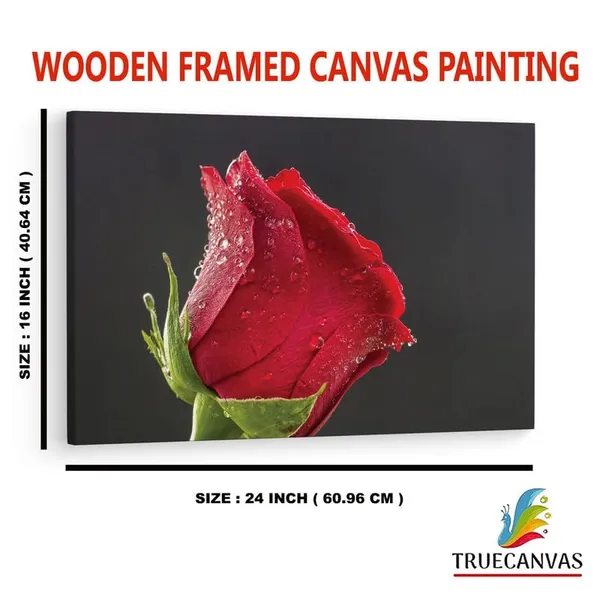 Multicolor_16_X_24_Inch,_Pine_Wood_Framed_Canvas_Paintings_|_For_Home_Decor,_Ready_To_Wall_Hanging,_Premium_Painting_|_For_|_Bedroom,_Living_Room,_Office_Wall_Decoration_|_Wall_Art_Painting,_Ct1930