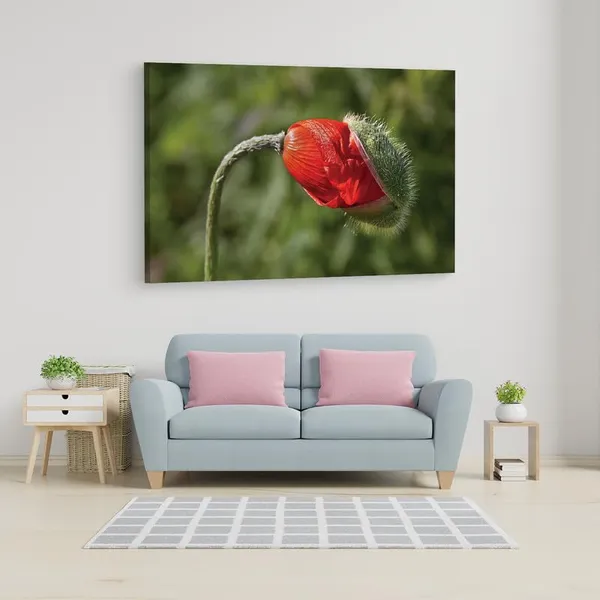 Multicolor_16_X_24_Inch,_Pine_Wood_Framed_Canvas_Paintings_|_For_Home_Decor,_Ready_To_Wall_Hanging,_Premium_Painting_|_For_|_Bedroom,_Living_Room,_Office_Wall_Decoration_|_Wall_Art_Painting,_Ct1931
