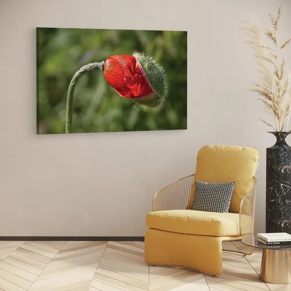 Multicolor_16_X_24_Inch,_Pine_Wood_Framed_Canvas_Paintings_|_For_Home_Decor,_Ready_To_Wall_Hanging,_Premium_Painting_|_For_|_Bedroom,_Living_Room,_Office_Wall_Decoration_|_Wall_Art_Painting,_Ct1931