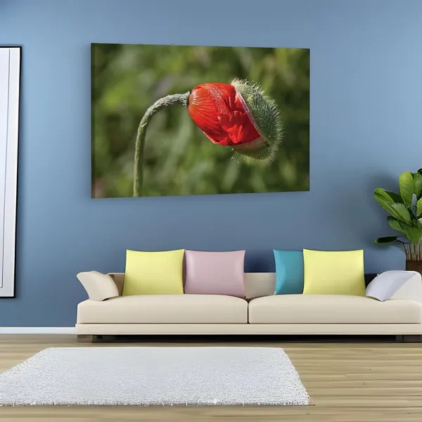 Multicolor_16_X_24_Inch,_Pine_Wood_Framed_Canvas_Paintings_|_For_Home_Decor,_Ready_To_Wall_Hanging,_Premium_Painting_|_For_|_Bedroom,_Living_Room,_Office_Wall_Decoration_|_Wall_Art_Painting,_Ct1931