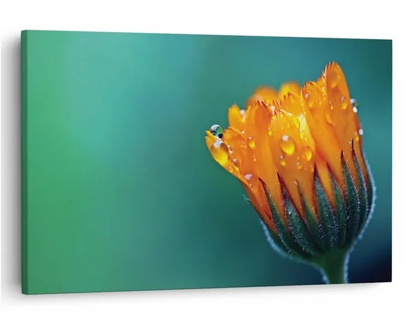 Multicolor_16_X_24_Inch,_Pine_Wood_Framed_Canvas_Paintings_|_For_Home_Decor,_Ready_To_Wall_Hanging,_Premium_Painting_|_For_|_Bedroom,_Living_Room,_Office_Wall_Decoration_|_Wall_Art_Painting,_Ct1933