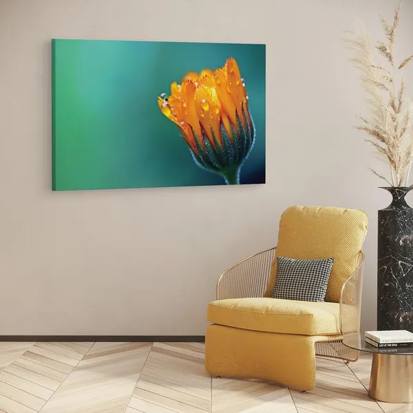 Multicolor_16_X_24_Inch,_Pine_Wood_Framed_Canvas_Paintings_|_For_Home_Decor,_Ready_To_Wall_Hanging,_Premium_Painting_|_For_|_Bedroom,_Living_Room,_Office_Wall_Decoration_|_Wall_Art_Painting,_Ct1933