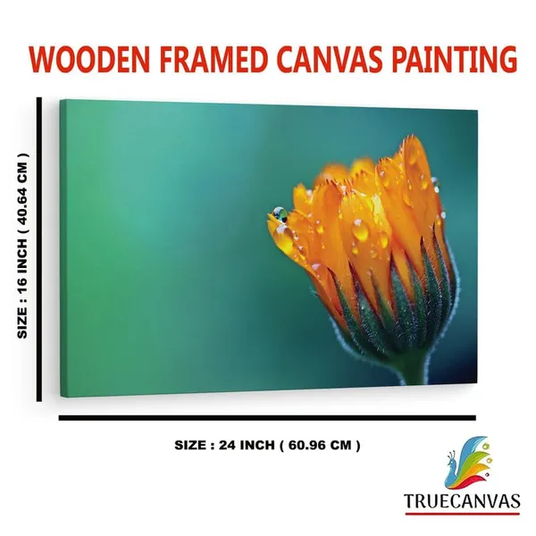 Multicolor_16_X_24_Inch,_Pine_Wood_Framed_Canvas_Paintings_|_For_Home_Decor,_Ready_To_Wall_Hanging,_Premium_Painting_|_For_|_Bedroom,_Living_Room,_Office_Wall_Decoration_|_Wall_Art_Painting,_Ct1933