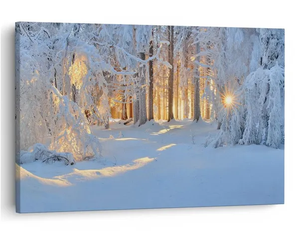 Multicolor_16_X_24_Inch,_Pine_Wood_Framed_Canvas_Paintings_|_For_Home_Decor,_Ready_To_Wall_Hanging,_Premium_Painting_|_For_|_Bedroom,_Living_Room,_Office_Wall_Decoration_|_Wall_Art_Painting,_Ct1934
