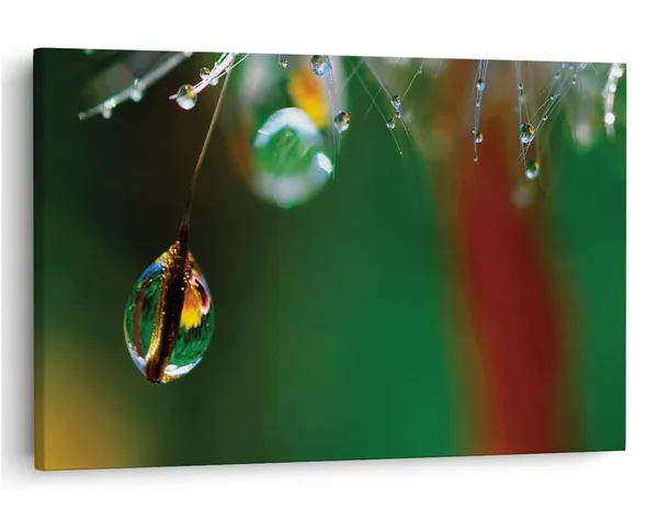 Multicolor_16_X_24_Inch,_Pine_Wood_Framed_Canvas_Paintings_|_For_Home_Decor,_Ready_To_Wall_Hanging,_Premium_Painting_|_For_|_Bedroom,_Living_Room,_Office_Wall_Decoration_|_Wall_Art_Painting,_Ct1937