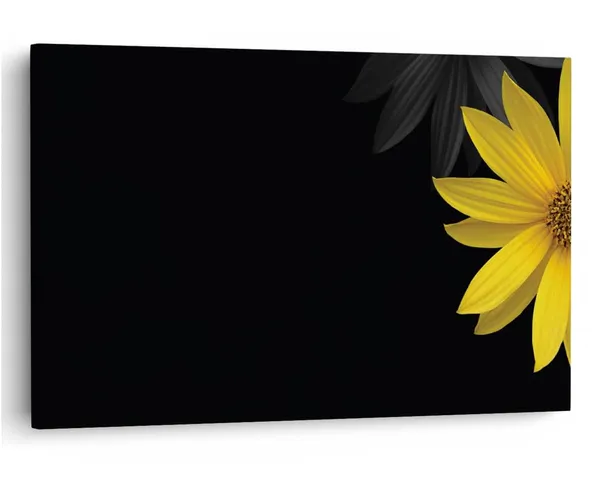 Multicolor_16_X_24_Inch,_Pine_Wood_Framed_Canvas_Paintings_|_For_Home_Decor,_Ready_To_Wall_Hanging,_Premium_Painting_|_For_|_Bedroom,_Living_Room,_Office_Wall_Decoration_|_Wall_Art_Painting,_Ct1945