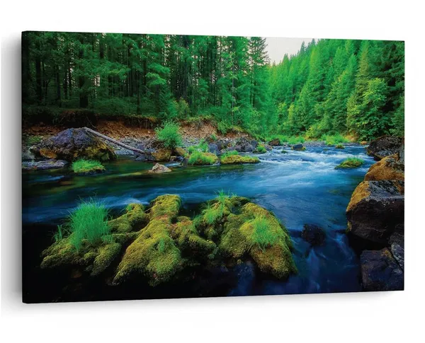 Multicolor_16_X_24_Inch,_Pine_Wood_Framed_Canvas_Paintings_|_For_Home_Decor,_Ready_To_Wall_Hanging,_Premium_Painting_|_For_|_Bedroom,_Living_Room,_Office_Wall_Decoration_|_Wall_Art_Painting,_Ct1948