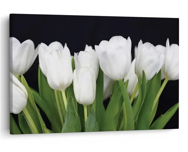 Multicolor_16_X_24_Inch,_Pine_Wood_Framed_Canvas_Paintings_|_For_Home_Decor,_Ready_To_Wall_Hanging,_Premium_Painting_|_For_|_Bedroom,_Living_Room,_Office_Wall_Decoration_|_Wall_Art_Painting,_Ct1951