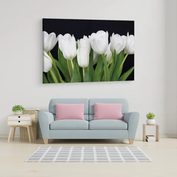 Multicolor_16_X_24_Inch,_Pine_Wood_Framed_Canvas_Paintings_|_For_Home_Decor,_Ready_To_Wall_Hanging,_Premium_Painting_|_For_|_Bedroom,_Living_Room,_Office_Wall_Decoration_|_Wall_Art_Painting,_Ct1951