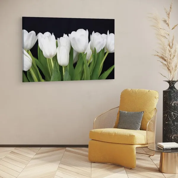 Multicolor_16_X_24_Inch,_Pine_Wood_Framed_Canvas_Paintings_|_For_Home_Decor,_Ready_To_Wall_Hanging,_Premium_Painting_|_For_|_Bedroom,_Living_Room,_Office_Wall_Decoration_|_Wall_Art_Painting,_Ct1951
