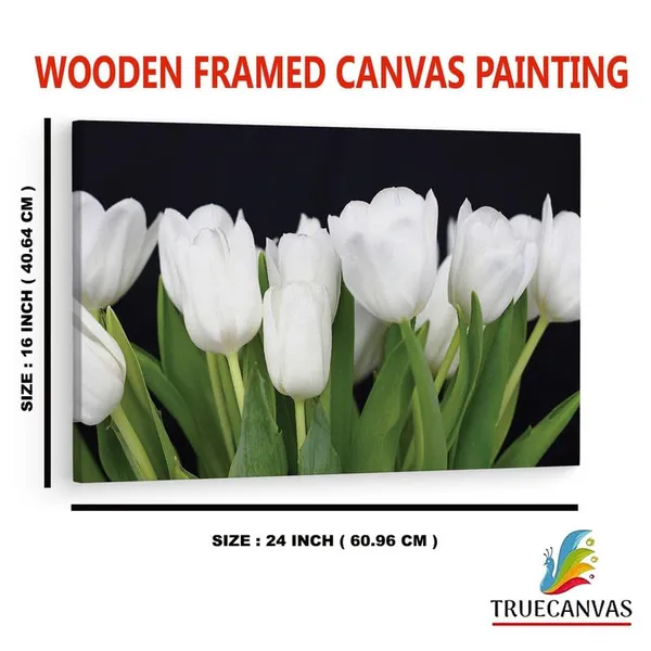 Multicolor_16_X_24_Inch,_Pine_Wood_Framed_Canvas_Paintings_|_For_Home_Decor,_Ready_To_Wall_Hanging,_Premium_Painting_|_For_|_Bedroom,_Living_Room,_Office_Wall_Decoration_|_Wall_Art_Painting,_Ct1951