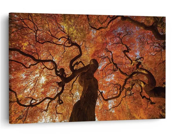 Multicolor_16_X_24_Inch,_Pine_Wood_Framed_Canvas_Paintings_|_For_Home_Decor,_Ready_To_Wall_Hanging,_Premium_Painting_|_For_|_Bedroom,_Living_Room,_Office_Wall_Decoration_|_Wall_Art_Painting,_Ct1952