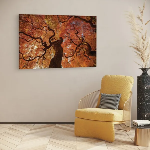 Multicolor_16_X_24_Inch,_Pine_Wood_Framed_Canvas_Paintings_|_For_Home_Decor,_Ready_To_Wall_Hanging,_Premium_Painting_|_For_|_Bedroom,_Living_Room,_Office_Wall_Decoration_|_Wall_Art_Painting,_Ct1952
