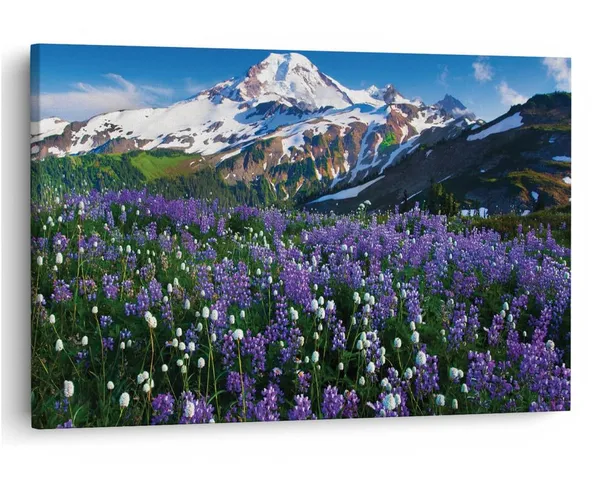 Multicolor_16_X_24_Inch,_Pine_Wood_Framed_Canvas_Paintings_|_For_Home_Decor,_Ready_To_Wall_Hanging,_Premium_Painting_|_For_|_Bedroom,_Living_Room,_Office_Wall_Decoration_|_Wall_Art_Painting,_Ct1956
