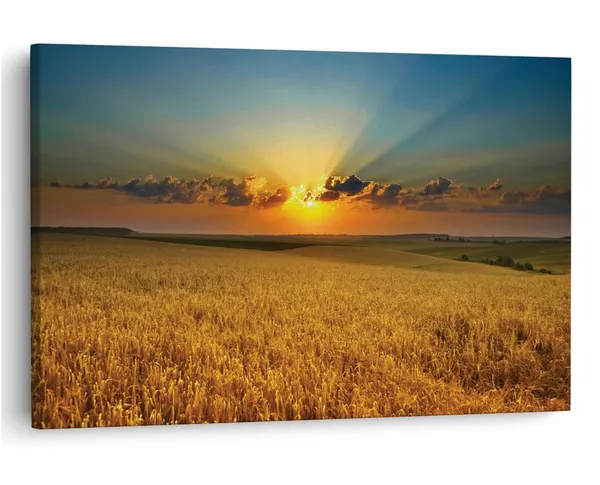 Multicolor_16_X_24_Inch,_Pine_Wood_Framed_Canvas_Paintings_|_For_Home_Decor,_Ready_To_Wall_Hanging,_Premium_Painting_|_For_|_Bedroom,_Living_Room,_Office_Wall_Decoration_|_Wall_Art_Painting,_Ct1957