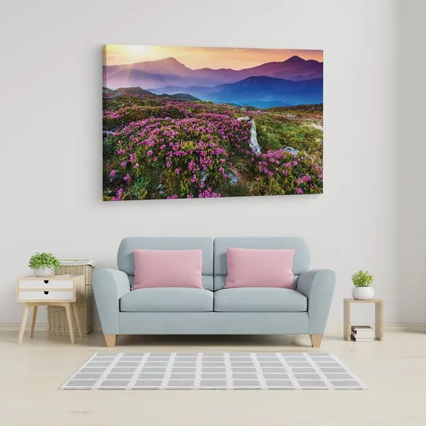 Multicolor_16_X_24_Inch,_Pine_Wood_Framed_Canvas_Paintings_|_For_Home_Decor,_Ready_To_Wall_Hanging,_Premium_Painting_|_For_|_Bedroom,_Living_Room,_Office_Wall_Decoration_|_Wall_Art_Painting,_Ct1962