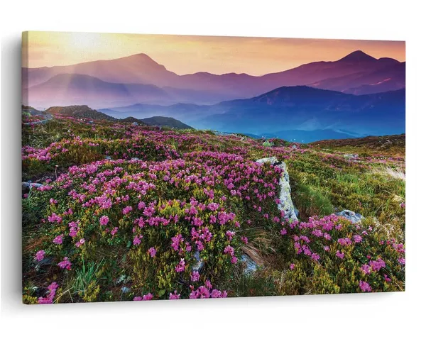 Multicolor_16_X_24_Inch,_Pine_Wood_Framed_Canvas_Paintings_|_For_Home_Decor,_Ready_To_Wall_Hanging,_Premium_Painting_|_For_|_Bedroom,_Living_Room,_Office_Wall_Decoration_|_Wall_Art_Painting,_Ct1962