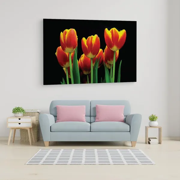 Multicolor_16_X_24_Inch,_Pine_Wood_Framed_Canvas_Paintings_|_For_Home_Decor,_Ready_To_Wall_Hanging,_Premium_Painting_|_For_|_Bedroom,_Living_Room,_Office_Wall_Decoration_|_Wall_Art_Painting,_Ct1964