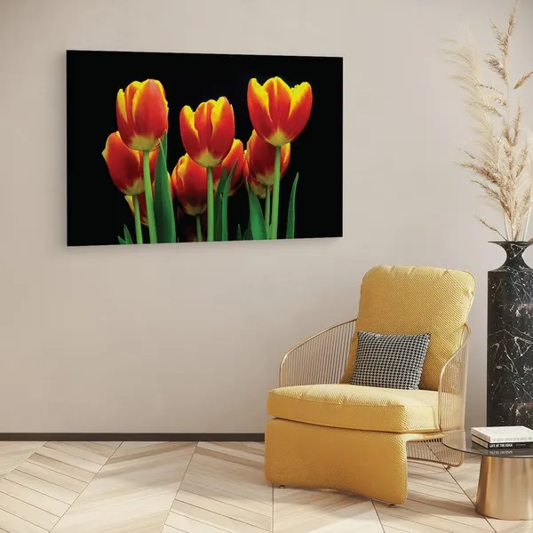 Multicolor_16_X_24_Inch,_Pine_Wood_Framed_Canvas_Paintings_|_For_Home_Decor,_Ready_To_Wall_Hanging,_Premium_Painting_|_For_|_Bedroom,_Living_Room,_Office_Wall_Decoration_|_Wall_Art_Painting,_Ct1964