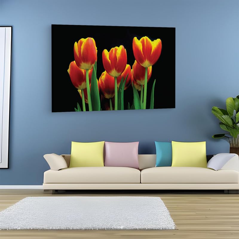 Multicolor_16_X_24_Inch,_Pine_Wood_Framed_Canvas_Paintings_|_For_Home_Decor,_Ready_To_Wall_Hanging,_Premium_Painting_|_For_|_Bedroom,_Living_Room,_Office_Wall_Decoration_|_Wall_Art_Painting,_Ct1964
