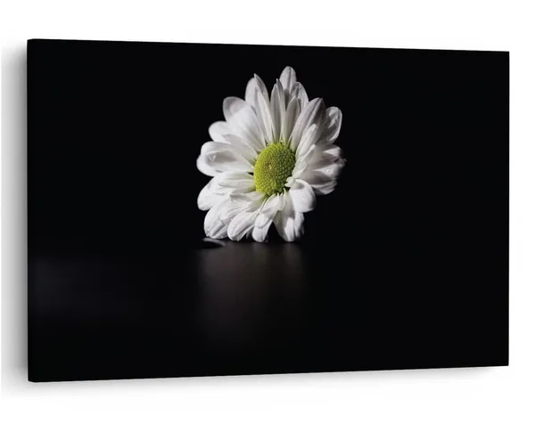 Multicolor_16_X_24_Inch,_Pine_Wood_Framed_Canvas_Paintings_|_For_Home_Decor,_Ready_To_Wall_Hanging,_Premium_Painting_|_For_|_Bedroom,_Living_Room,_Office_Wall_Decoration_|_Wall_Art_Painting,_Ct1967