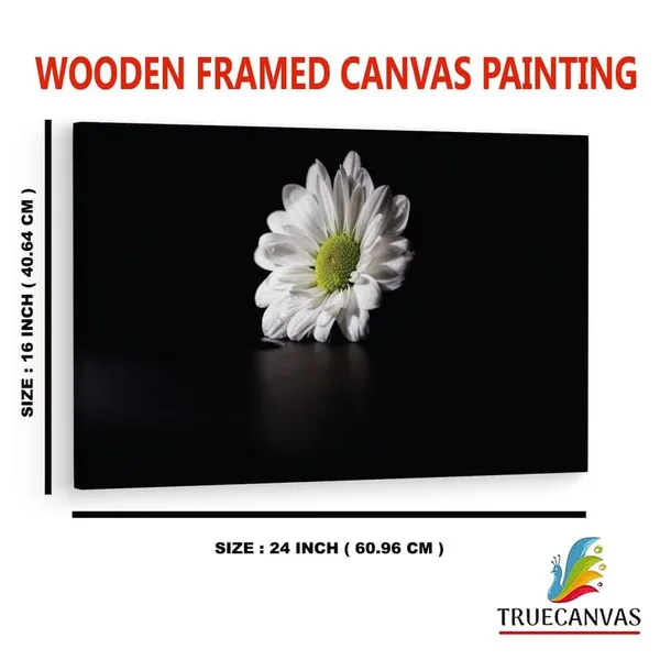 Multicolor_16_X_24_Inch,_Pine_Wood_Framed_Canvas_Paintings_|_For_Home_Decor,_Ready_To_Wall_Hanging,_Premium_Painting_|_For_|_Bedroom,_Living_Room,_Office_Wall_Decoration_|_Wall_Art_Painting,_Ct1967