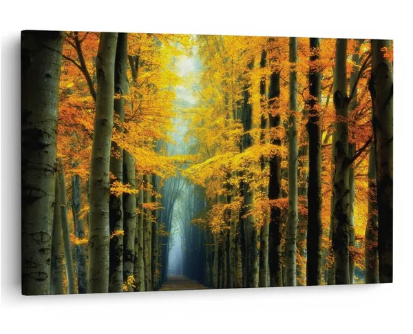 Multicolor_16_X_24_Inch,_Pine_Wood_Framed_Canvas_Paintings_|_For_Home_Decor,_Ready_To_Wall_Hanging,_Premium_Painting_|_For_|_Bedroom,_Living_Room,_Office_Wall_Decoration_|_Wall_Art_Painting,_Ct1968