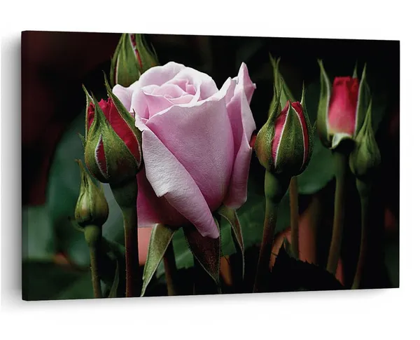 Multicolor_16_X_24_Inch,_Pine_Wood_Framed_Canvas_Paintings_|_For_Home_Decor,_Ready_To_Wall_Hanging,_Premium_Painting_|_For_|_Bedroom,_Living_Room,_Office_Wall_Decoration_|_Wall_Art_Painting,_Ct1970