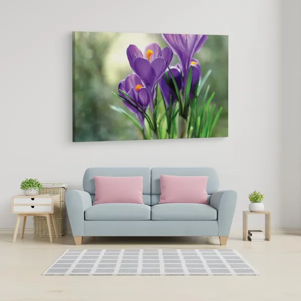 Multicolor_16_X_24_Inch,_Pine_Wood_Framed_Canvas_Paintings_|_For_Home_Decor,_Ready_To_Wall_Hanging,_Premium_Painting_|_For_|_Bedroom,_Living_Room,_Office_Wall_Decoration_|_Wall_Art_Painting,_Ct1971