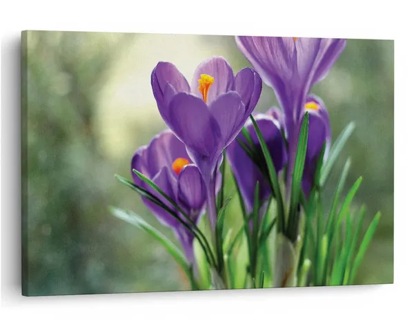 Multicolor_16_X_24_Inch,_Pine_Wood_Framed_Canvas_Paintings_|_For_Home_Decor,_Ready_To_Wall_Hanging,_Premium_Painting_|_For_|_Bedroom,_Living_Room,_Office_Wall_Decoration_|_Wall_Art_Painting,_Ct1971