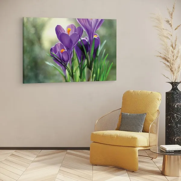 Multicolor_16_X_24_Inch,_Pine_Wood_Framed_Canvas_Paintings_|_For_Home_Decor,_Ready_To_Wall_Hanging,_Premium_Painting_|_For_|_Bedroom,_Living_Room,_Office_Wall_Decoration_|_Wall_Art_Painting,_Ct1971