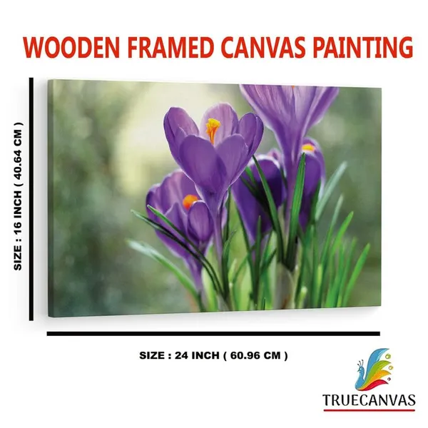 Multicolor_16_X_24_Inch,_Pine_Wood_Framed_Canvas_Paintings_|_For_Home_Decor,_Ready_To_Wall_Hanging,_Premium_Painting_|_For_|_Bedroom,_Living_Room,_Office_Wall_Decoration_|_Wall_Art_Painting,_Ct1971