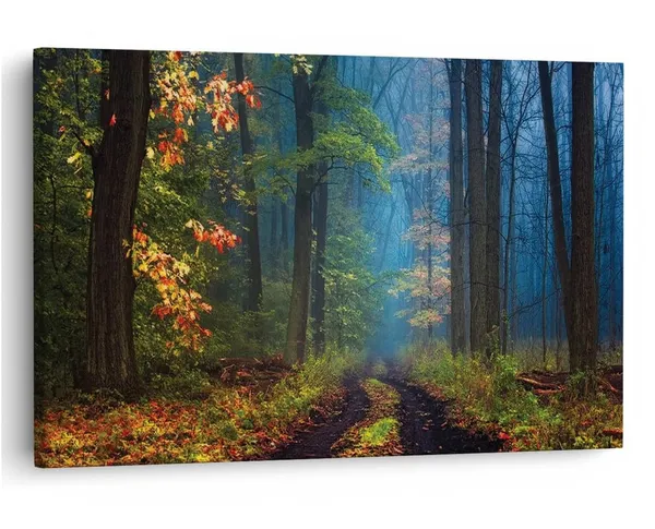 Multicolor_16_X_24_Inch,_Pine_Wood_Framed_Canvas_Paintings_|_For_Home_Decor,_Ready_To_Wall_Hanging,_Premium_Painting_|_For_|_Bedroom,_Living_Room,_Office_Wall_Decoration_|_Wall_Art_Painting,_Ct1972