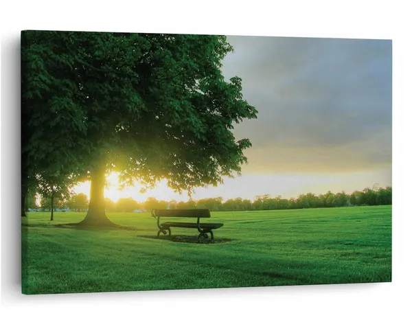 Multicolor_16_X_24_Inch,_Pine_Wood_Framed_Canvas_Paintings_|_For_Home_Decor,_Ready_To_Wall_Hanging,_Premium_Painting_|_For_|_Bedroom,_Living_Room,_Office_Wall_Decoration_|_Wall_Art_Painting,_Ct1976