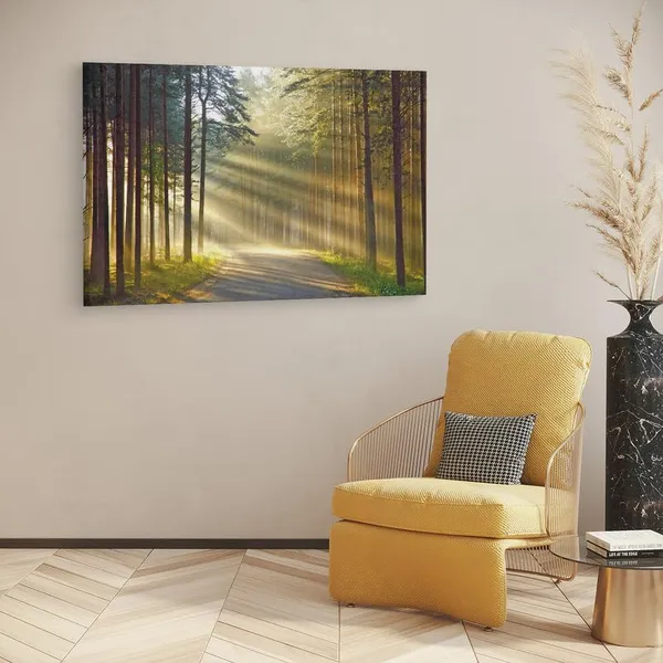 Multicolor_16_X_24_Inch,_Pine_Wood_Framed_Canvas_Paintings_|_For_Home_Decor,_Ready_To_Wall_Hanging,_Premium_Painting_|_For_|_Bedroom,_Living_Room,_Office_Wall_Decoration_|_Wall_Art_Painting,_Ct1980