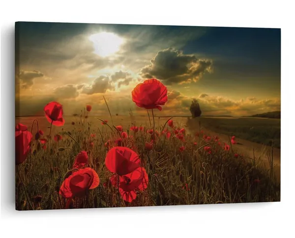 Multicolor_16_X_24_Inch,_Pine_Wood_Framed_Canvas_Paintings_|_For_Home_Decor,_Ready_To_Wall_Hanging,_Premium_Painting_|_For_|_Bedroom,_Living_Room,_Office_Wall_Decoration_|_Wall_Art_Painting,_Ct1981