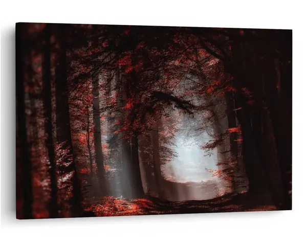 Multicolor_16_X_24_Inch,_Pine_Wood_Framed_Canvas_Paintings_|_For_Home_Decor,_Ready_To_Wall_Hanging,_Premium_Painting_|_For_|_Bedroom,_Living_Room,_Office_Wall_Decoration_|_Wall_Art_Painting,_Ct1983