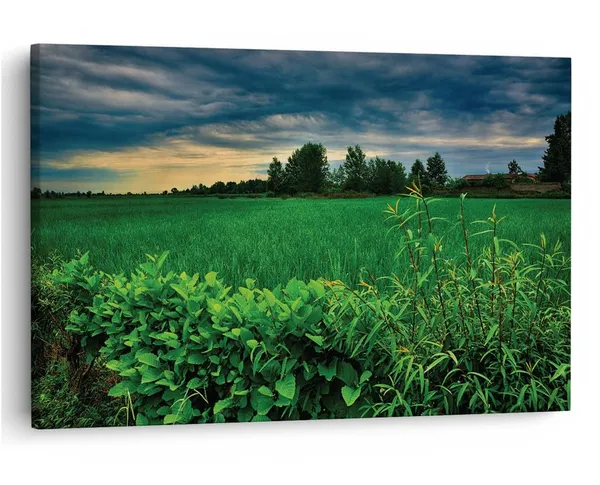 Multicolor_16_X_24_Inch,_Pine_Wood_Framed_Canvas_Paintings_|_For_Home_Decor,_Ready_To_Wall_Hanging,_Premium_Painting_|_For_|_Bedroom,_Living_Room,_Office_Wall_Decoration_|_Wall_Art_Painting,_Ct1988