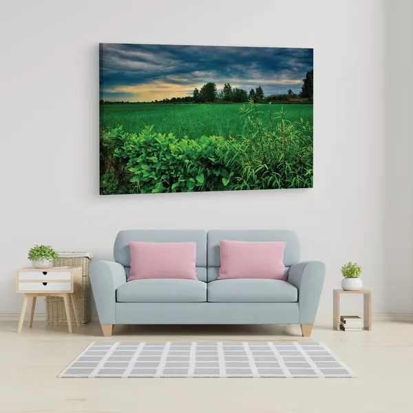 Multicolor_16_X_24_Inch,_Pine_Wood_Framed_Canvas_Paintings_|_For_Home_Decor,_Ready_To_Wall_Hanging,_Premium_Painting_|_For_|_Bedroom,_Living_Room,_Office_Wall_Decoration_|_Wall_Art_Painting,_Ct1988