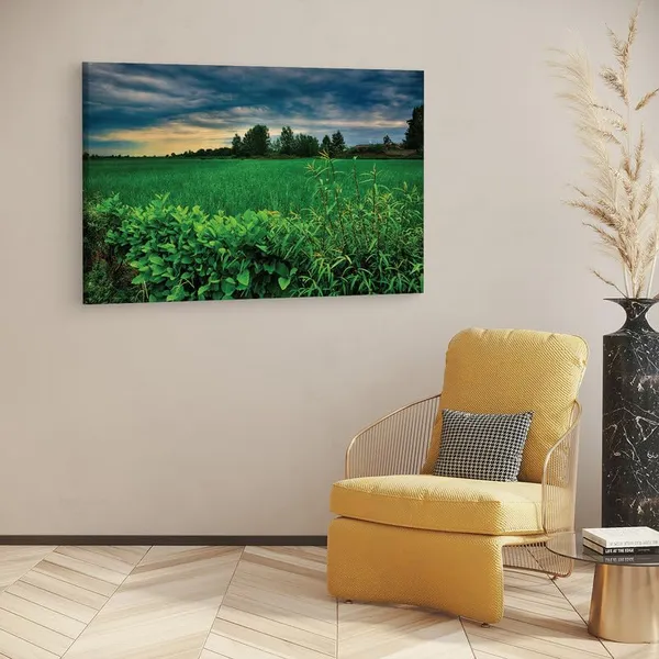 Multicolor_16_X_24_Inch,_Pine_Wood_Framed_Canvas_Paintings_|_For_Home_Decor,_Ready_To_Wall_Hanging,_Premium_Painting_|_For_|_Bedroom,_Living_Room,_Office_Wall_Decoration_|_Wall_Art_Painting,_Ct1988