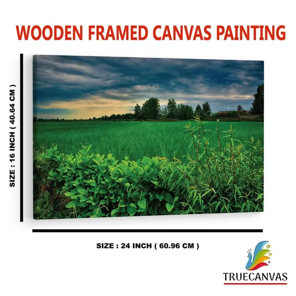 Multicolor_16_X_24_Inch,_Pine_Wood_Framed_Canvas_Paintings_|_For_Home_Decor,_Ready_To_Wall_Hanging,_Premium_Painting_|_For_|_Bedroom,_Living_Room,_Office_Wall_Decoration_|_Wall_Art_Painting,_Ct1988