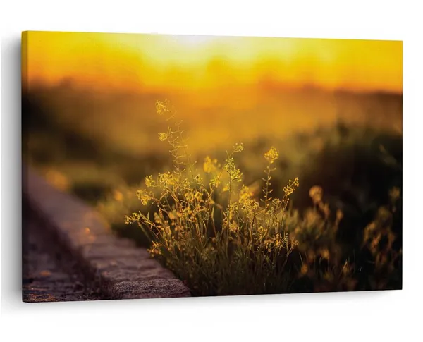 Multicolor_16_X_24_Inch,_Pine_Wood_Framed_Canvas_Paintings_|_For_Home_Decor,_Ready_To_Wall_Hanging,_Premium_Painting_|_For_|_Bedroom,_Living_Room,_Office_Wall_Decoration_|_Wall_Art_Painting,_Ct1997