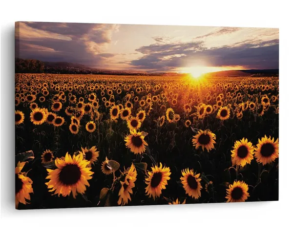 Multicolor_16_X_24_Inch,_Pine_Wood_Framed_Canvas_Paintings_|_For_Home_Decor,_Ready_To_Wall_Hanging,_Premium_Painting_|_For_|_Bedroom,_Living_Room,_Office_Wall_Decoration_|_Wall_Art_Painting,_Ct2003
