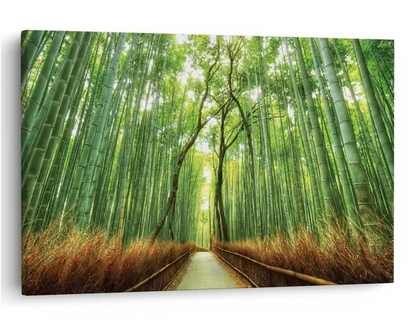 Multicolor_16_X_24_Inch,_Pine_Wood_Framed_Canvas_Paintings_|_For_Home_Decor,_Ready_To_Wall_Hanging,_Premium_Painting_|_For_|_Bedroom,_Living_Room,_Office_Wall_Decoration_|_Wall_Art_Painting,_Ct2006