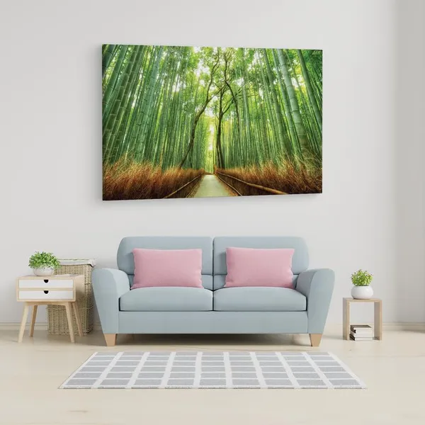 Multicolor_16_X_24_Inch,_Pine_Wood_Framed_Canvas_Paintings_|_For_Home_Decor,_Ready_To_Wall_Hanging,_Premium_Painting_|_For_|_Bedroom,_Living_Room,_Office_Wall_Decoration_|_Wall_Art_Painting,_Ct2006